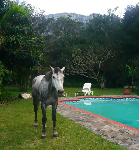 Horse riding is one of the activities on offer