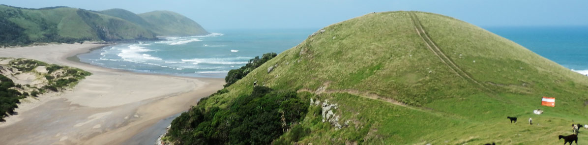 Typical Wild Coast scenery